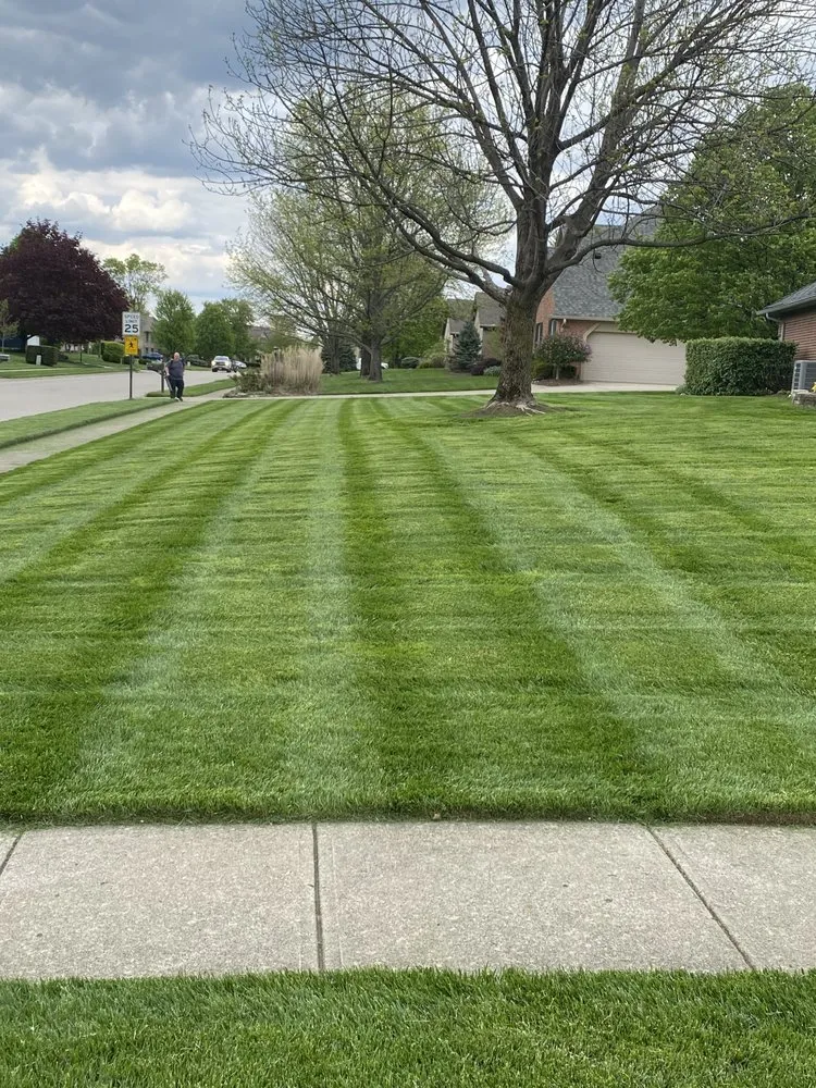 Affordable landscaping services in Bellbrook, OH by BK Lawncare
