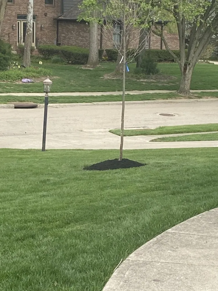 Local residential landscaping experts serving Bellbrook, OH - BK Lawncare