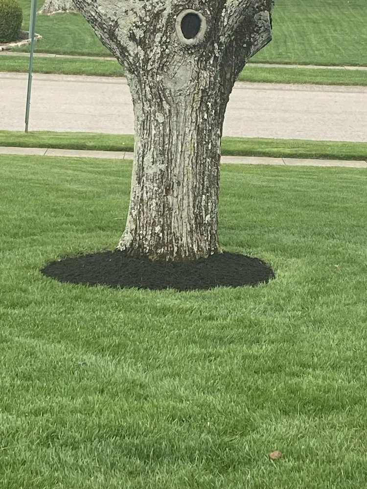 Trusted garden landscaping in Bellbrook, OH - BK Lawncare