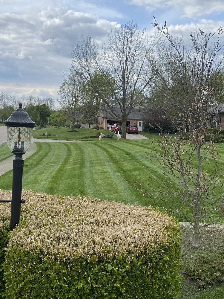 Local yard maintenance for outdoor upgrades in Bellbrook, OH by BK Lawncare
