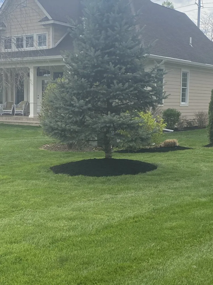 Reliable landscape design near you in Bellbrook, OH by BK Lawncare