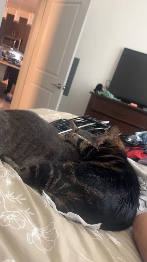 Reliable outdoor landscaping experts serving Weatherford, TX - BK Lawncare