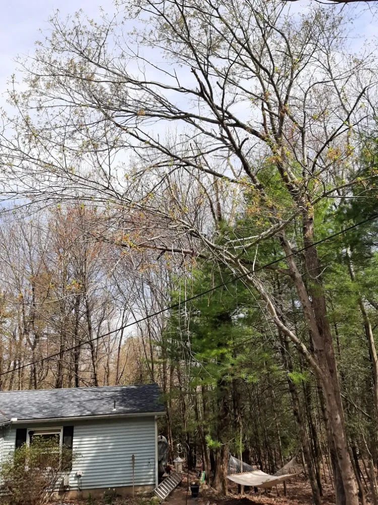 Trusted landscape design near you across Saylorsburg, PA - BK Property Management Services