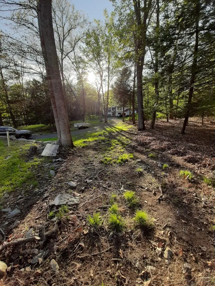 Expert landscaping services in Saylorsburg, PA by BK Property Management Services