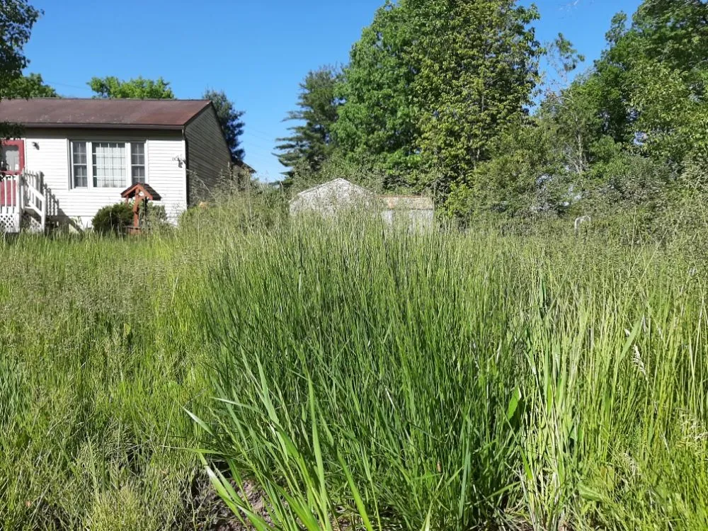 Professional yard cleanup service in Saylorsburg, PA - BK Property Management Services