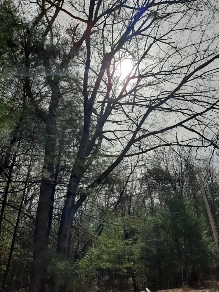 Affordable lawn mowing service experts serving Saylorsburg, PA - BK Property Management Services