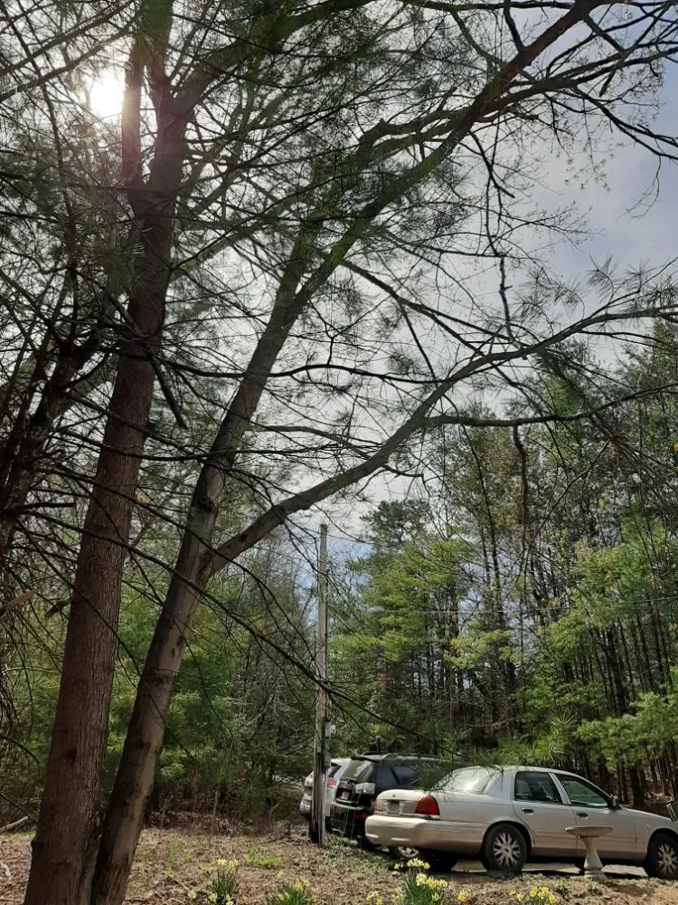 Expert outdoor landscaping experts serving Saylorsburg, PA - BK Property Management Services