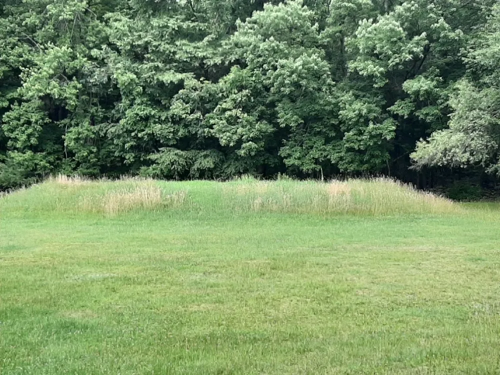 Affordable landscape design near you in Saylorsburg, PA by BK Property Management Services