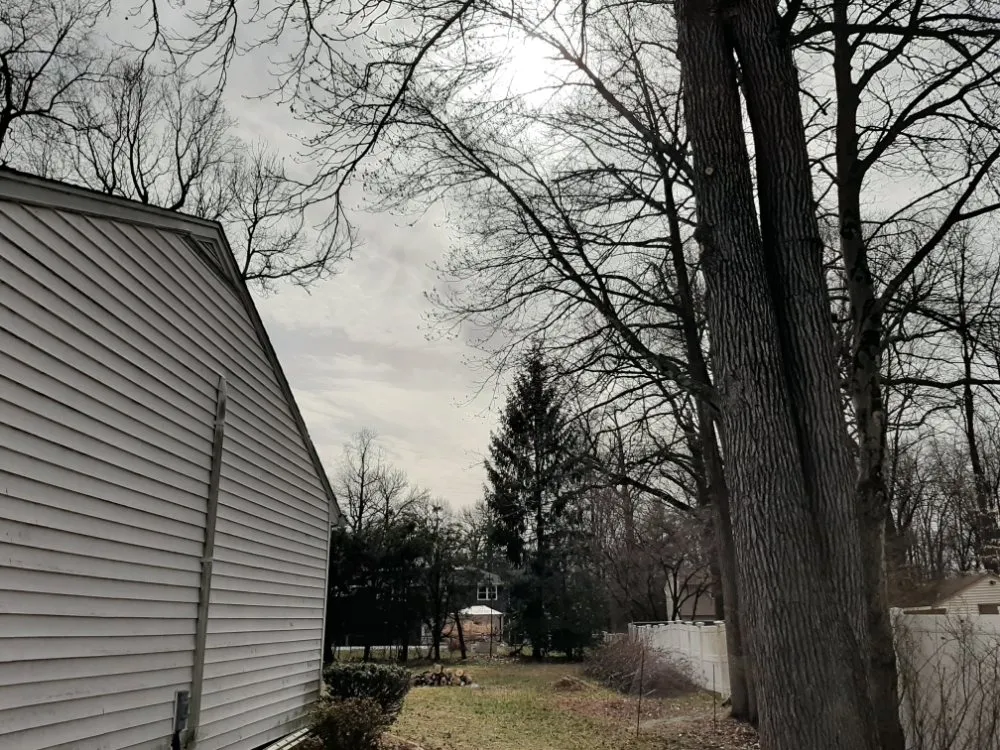 Professional yard maintenance for year-round maintenance across Saylorsburg, PA - BK Property Management Services