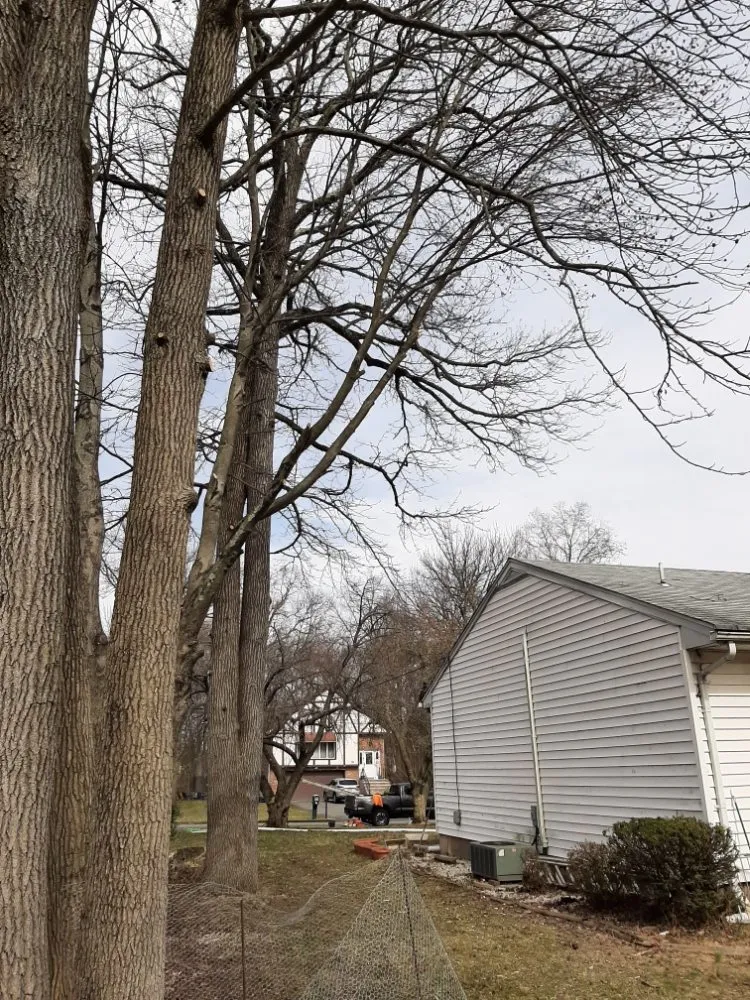 Expert residential landscaping in Saylorsburg, PA by BK Property Management Services