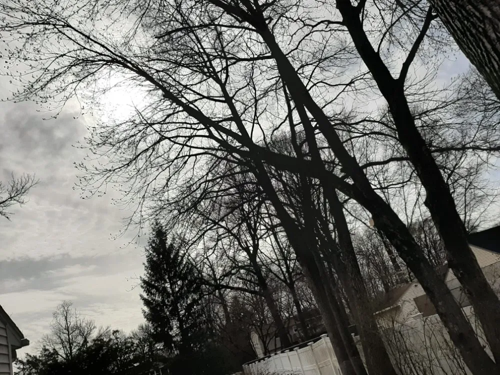 Local landscaping services in Saylorsburg, PA by BK Property Management Services