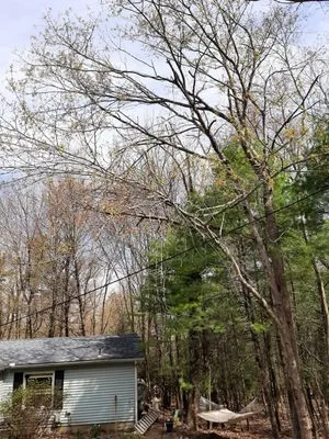 BK Property Management Services Logo