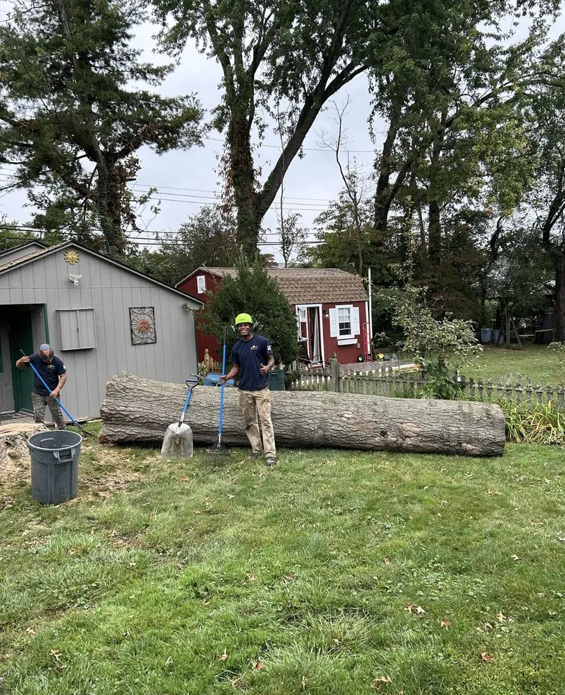 Trusted landscape installation for homes in Conshohocken, PA by BK Tree and Landscape