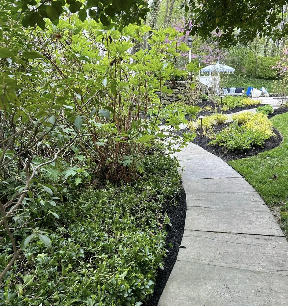 Trusted landscaping services in Conshohocken, PA - BK Tree and Landscape