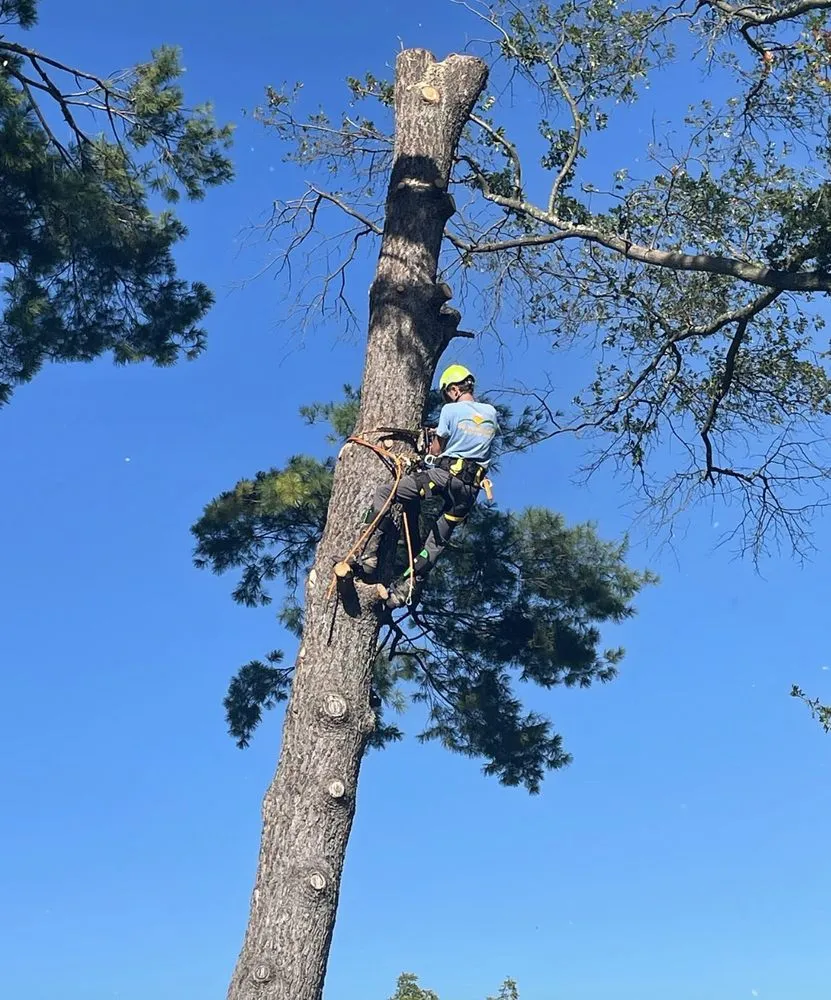 Top-rated landscape installation in Conshohocken, PA - BK Tree and Landscape