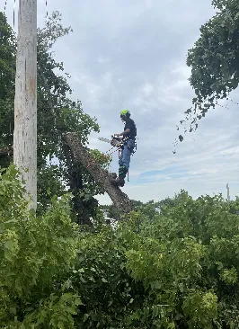 Trusted outdoor landscaping for outdoor upgrades in Conshohocken, PA by BK Tree and Landscape