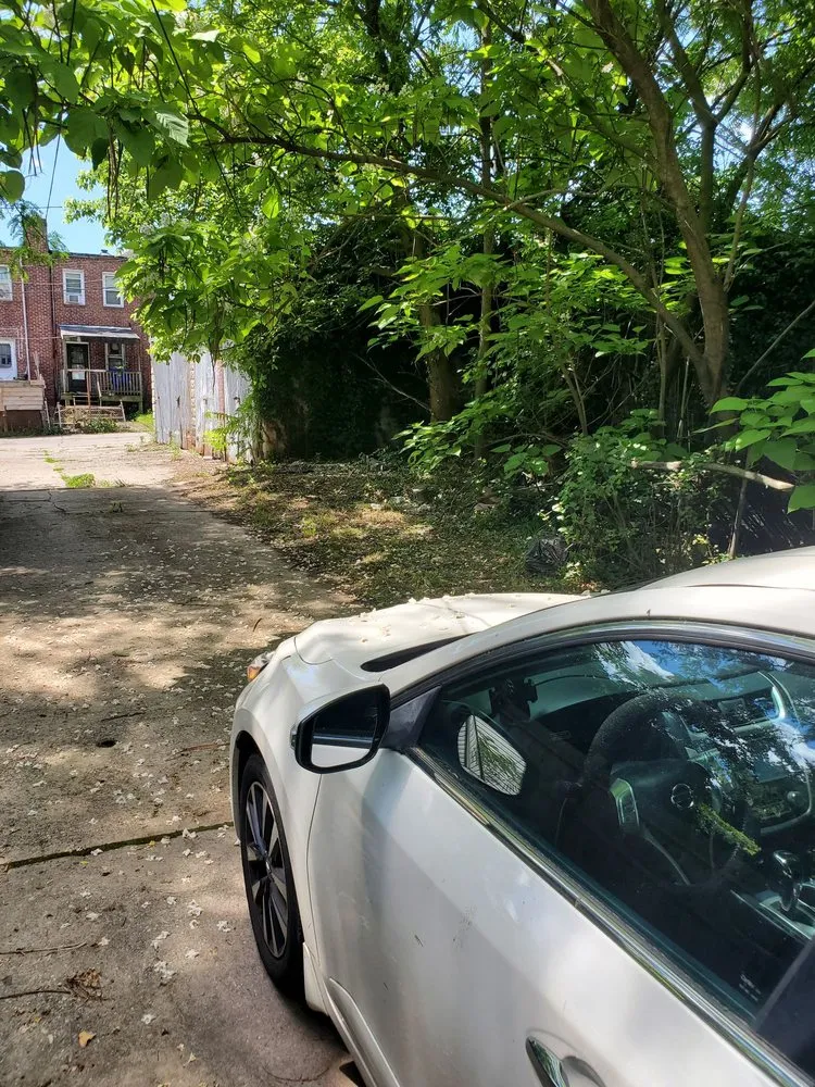 Affordable residential landscaping for year-round maintenance in Baltimore, MD by BK Visuals