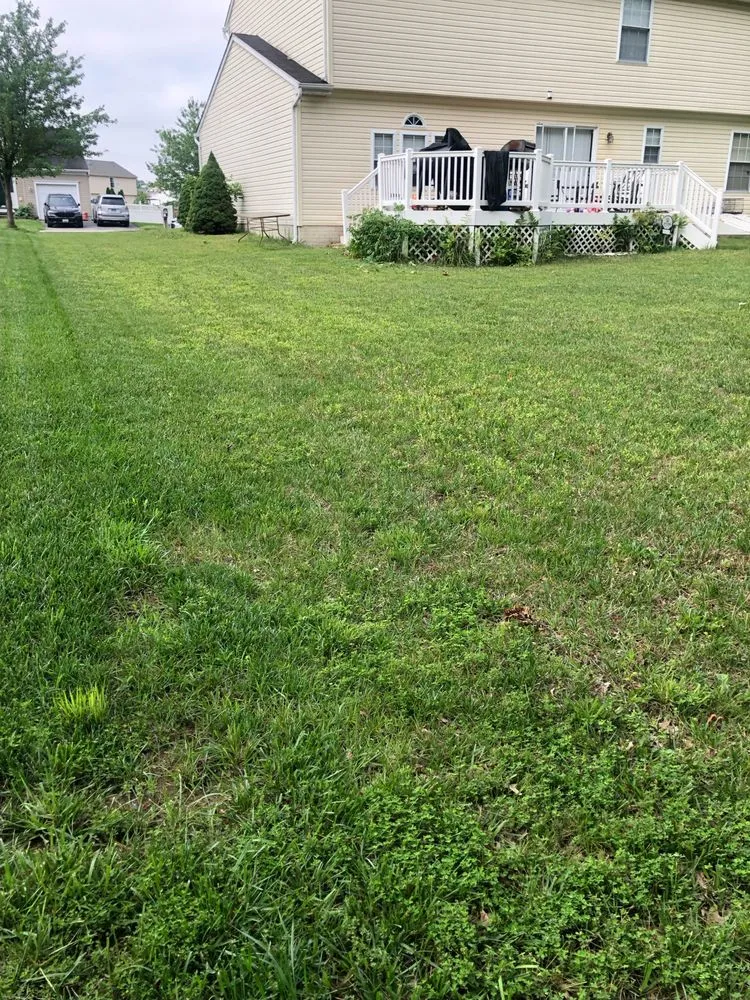 Reliable landscaping services experts serving Baltimore, MD - BK Visuals