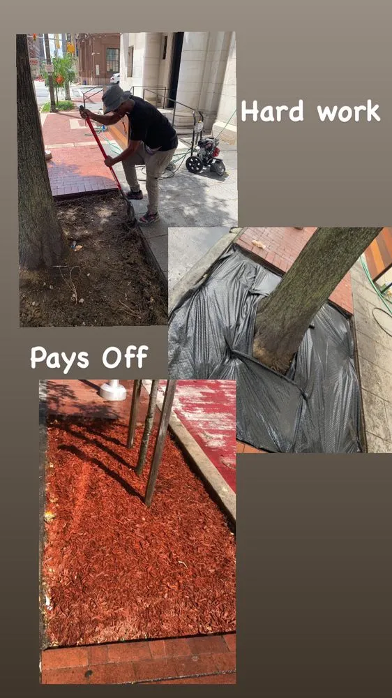 Trusted landscape installation in Baltimore, MD - BK Visuals