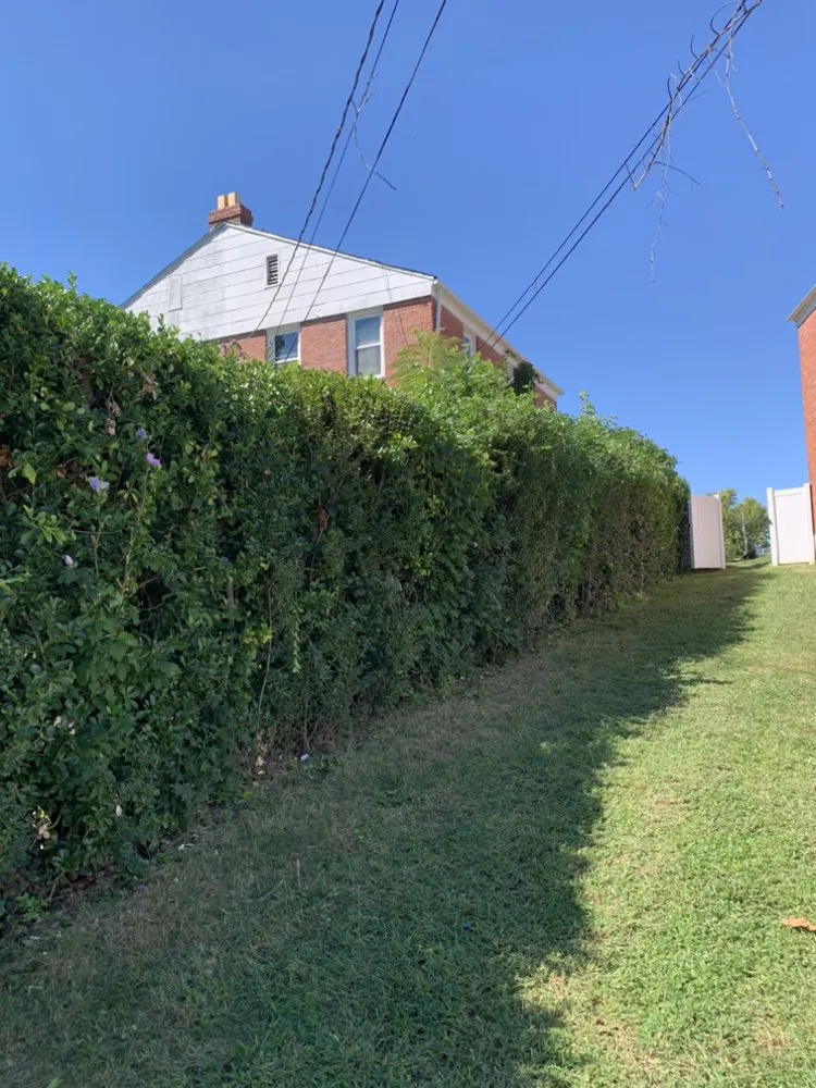 Reliable landscaping services in Baltimore, MD - BK Visuals