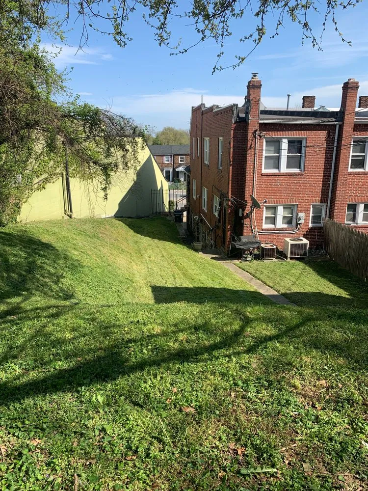 Trusted yard cleanup service in Baltimore, MD - BK Visuals