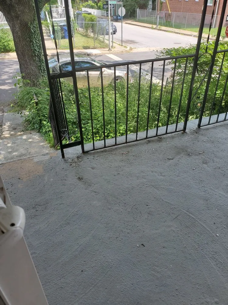 Expert yard cleanup service in Baltimore, MD by BK Visuals