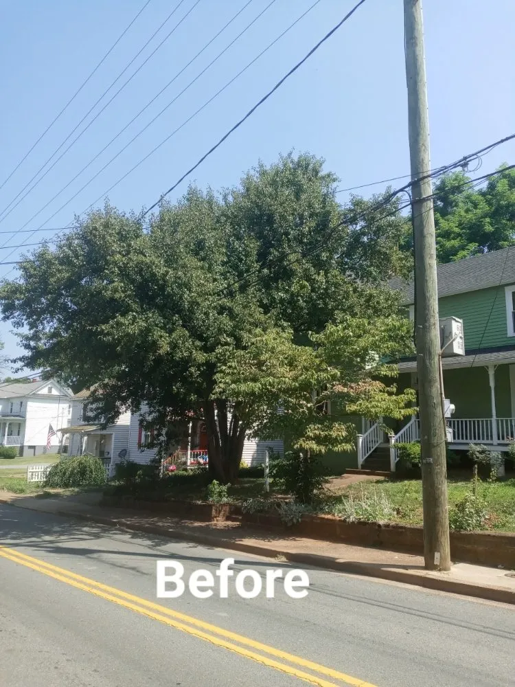 Expert lawn mowing service in Stanardsville, VA by BK&K Home and Repairs