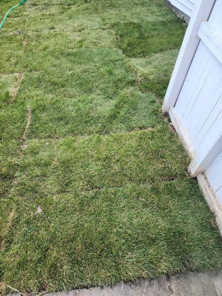 Custom landscape installation in Milwaukee, WI by BKP Lawn & Landscaping