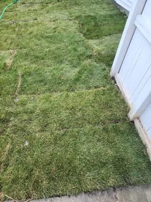 BKP Lawn & Landscaping Logo