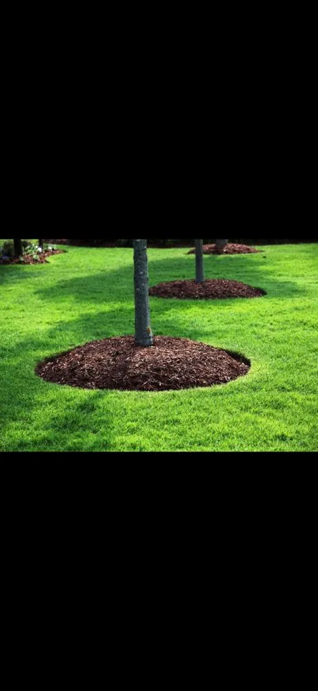 Reliable lawn care service experts serving Bohemia, NY - BKs Lawn and Mulch