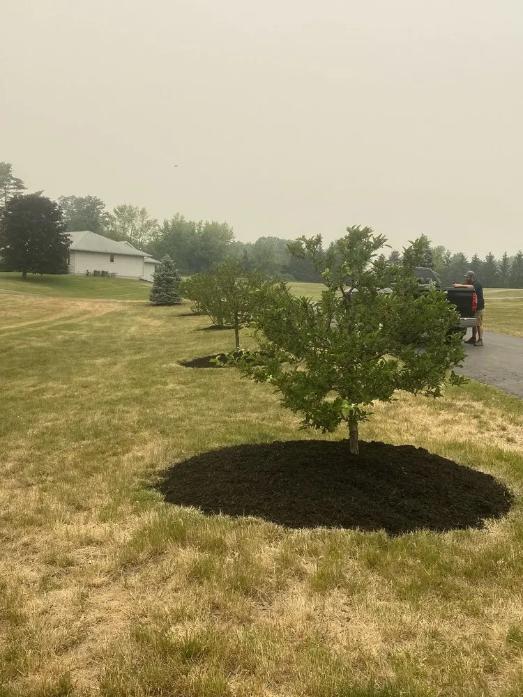 Top-rated outdoor landscaping in Mechanicville, NY - BK’s Lawn Care