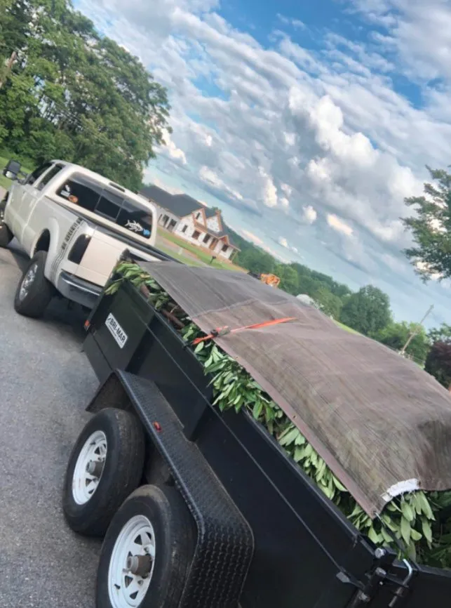 Professional garden landscaping for year-round maintenance in Mt Airy, MD by BKT Landscaping