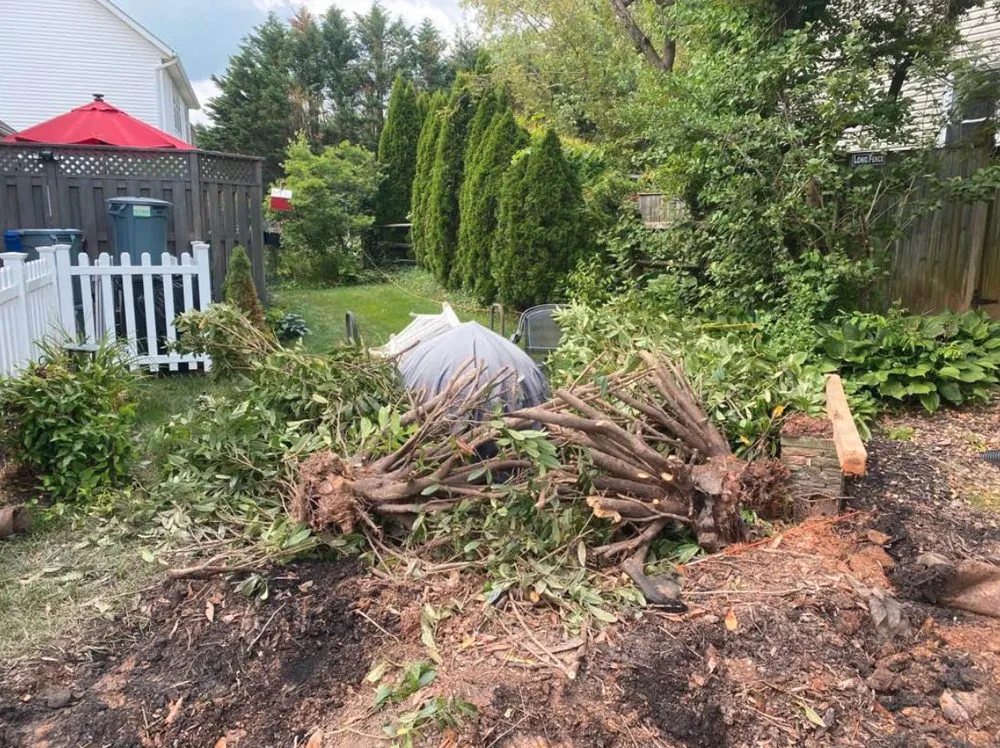 Expert landscape design in Mt Airy, MD by BKT Landscaping
