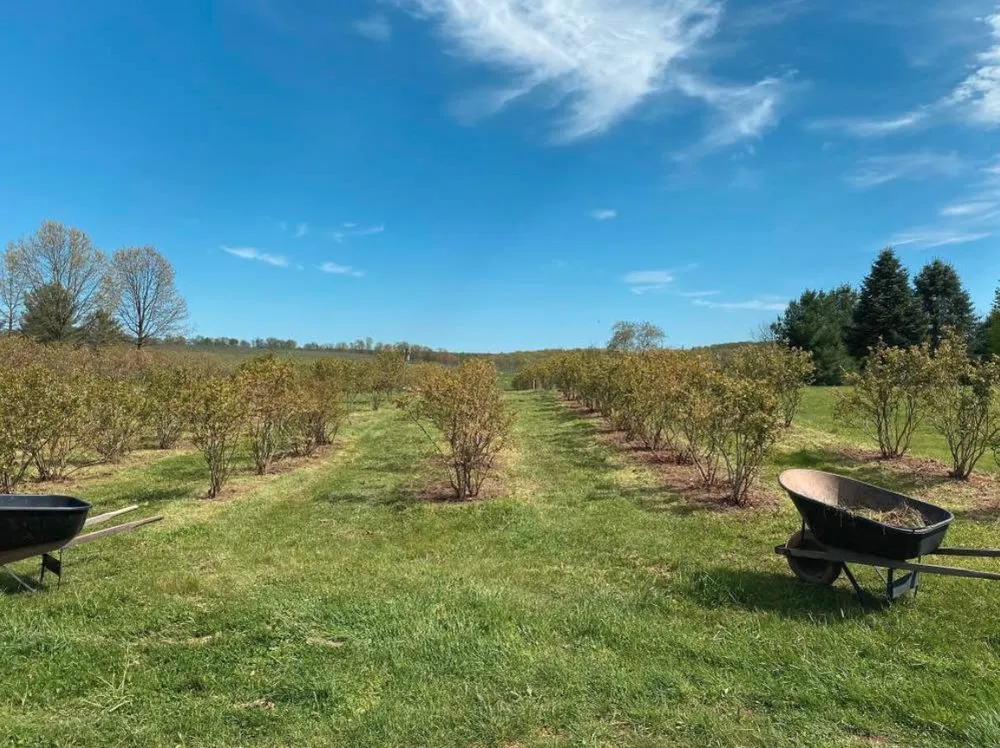 Affordable landscaping services in Mt Airy, MD - BKT Landscaping