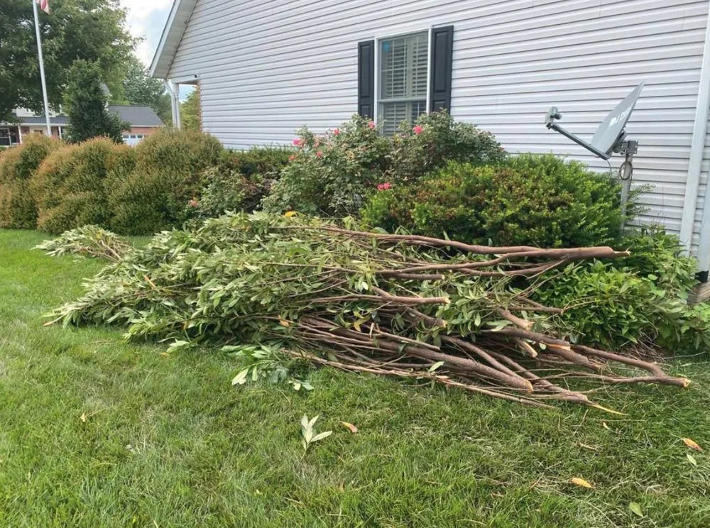 Affordable garden landscaping for outdoor upgrades in Mt Airy, MD by BKT Landscaping