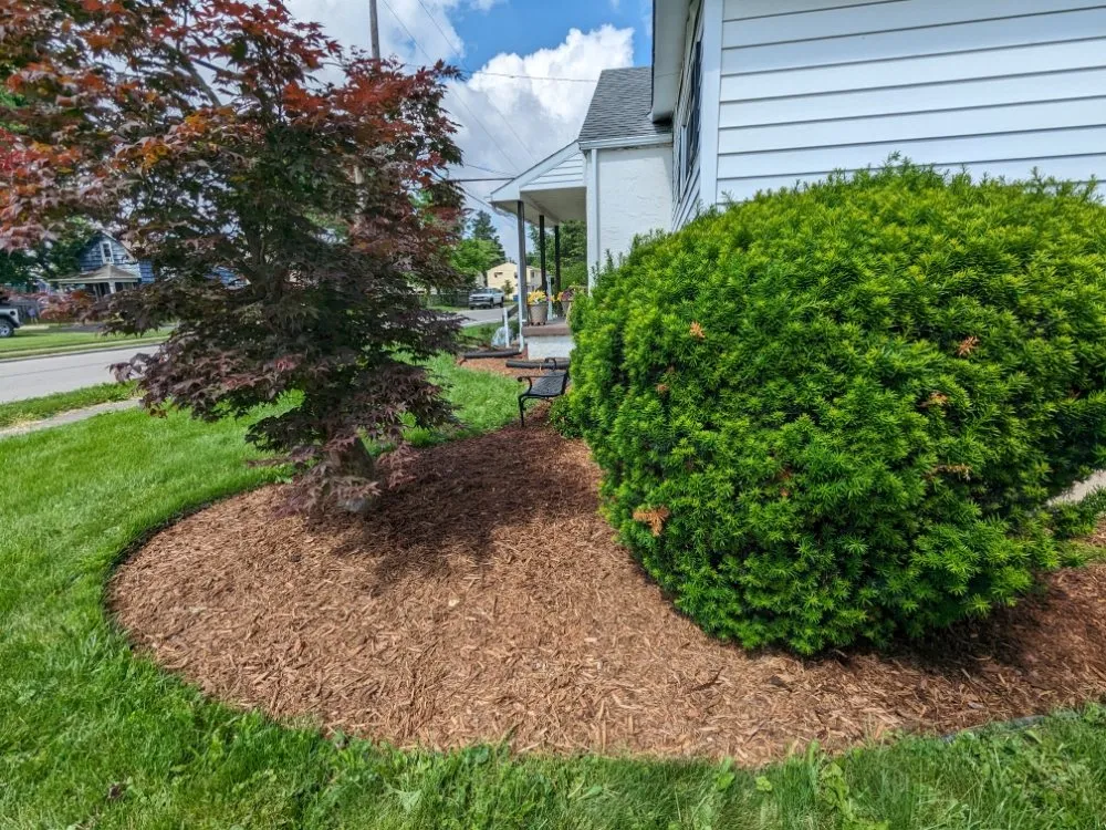 Expert garden landscaping in Nevada, OH - BL Cleaning Services