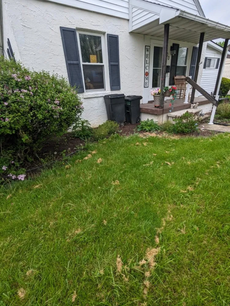 Affordable outdoor landscaping in Nevada, OH - BL Cleaning Services