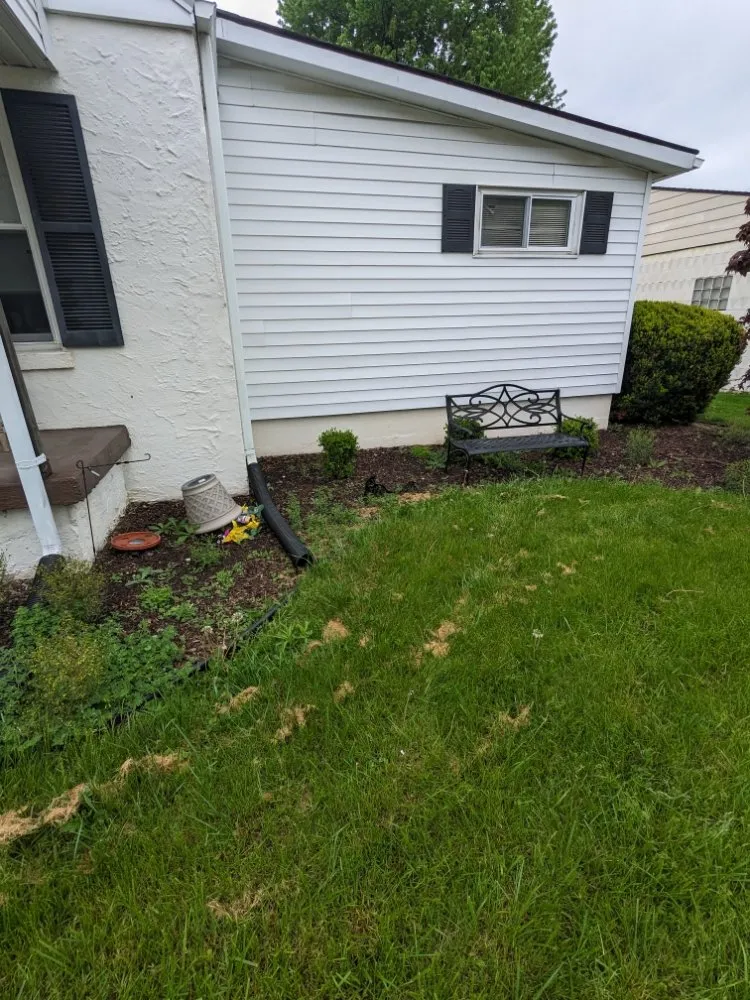 Affordable yard cleanup service experts serving Nevada, OH - BL Cleaning Services
