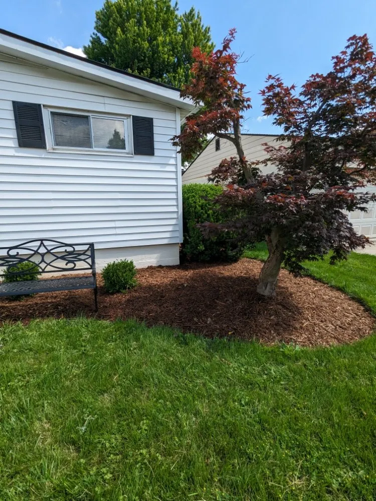 Professional landscaping services experts serving Nevada, OH - BL Cleaning Services