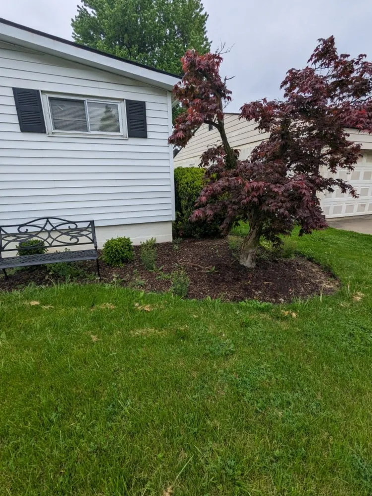Expert lawn care service in Nevada, OH by BL Cleaning Services