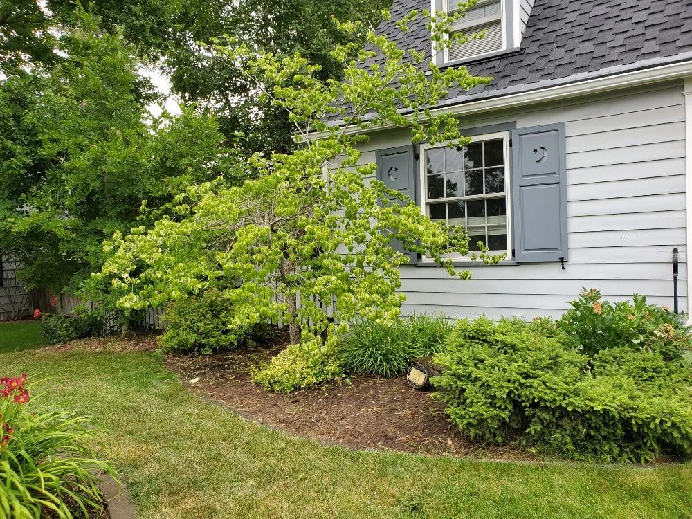 Reliable yard maintenance in Spokane, WA - Bèl Garden & Lawn care