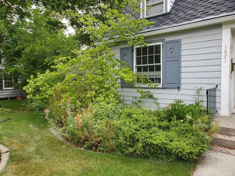 Expert outdoor landscaping in Spokane, WA - Bèl Garden & Lawn care