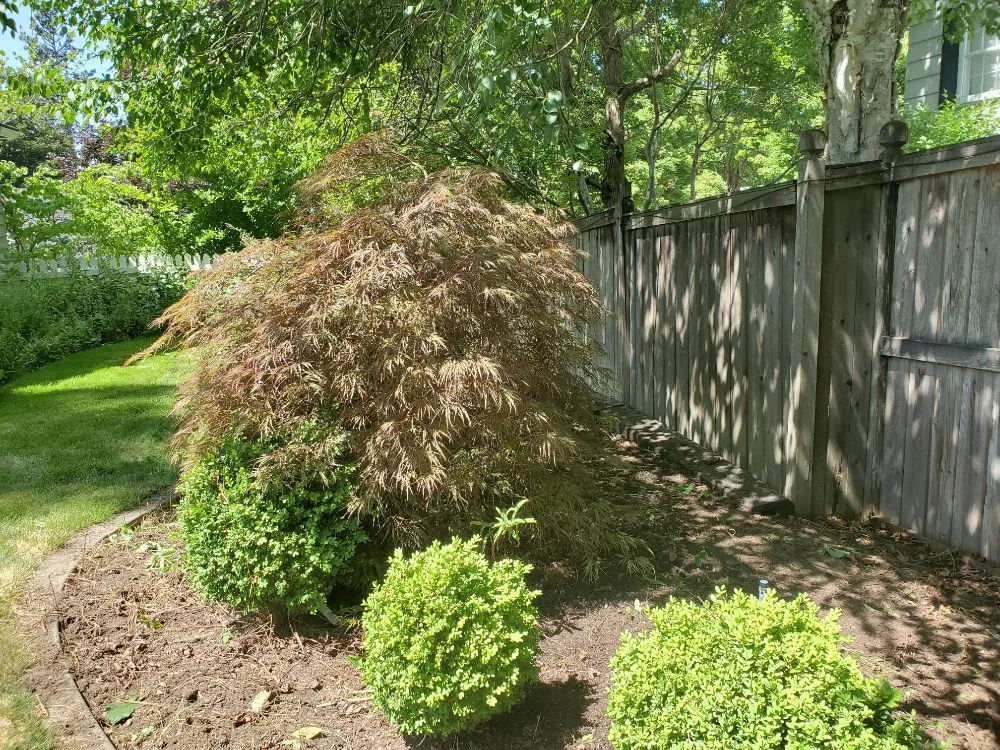 Local yard maintenance for residential properties across Spokane, WA - Bèl Garden & Lawn care