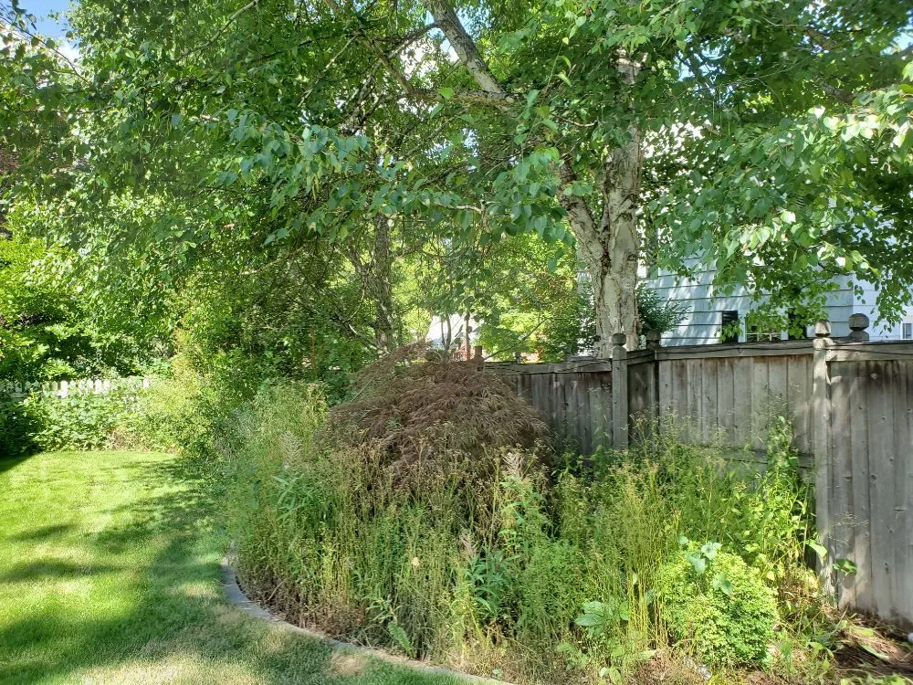 Local outdoor landscaping experts serving Spokane, WA - Bèl Garden & Lawn care