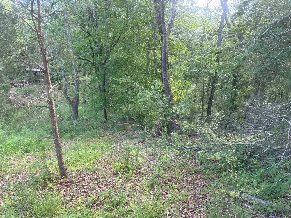 Custom yard maintenance in Clarkesville, GA - BL Land Services