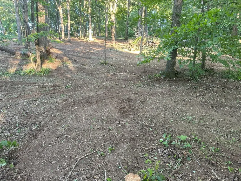 Affordable outdoor landscaping experts serving Clarkesville, GA - BL Land Services