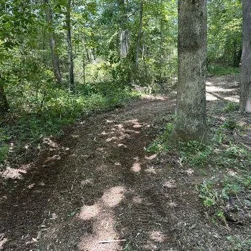 Professional lawn mowing service for beautiful yards in Clarkesville, GA by BL Land Services