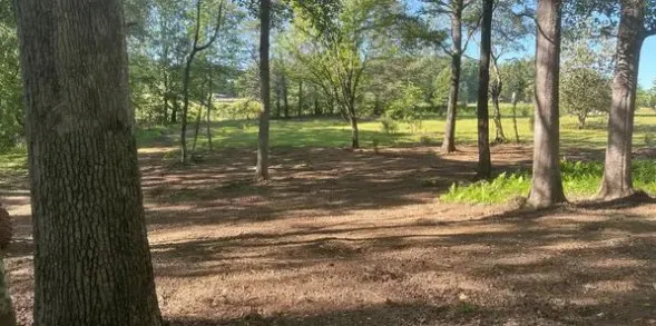 Expert outdoor landscaping in Clarkesville, GA by BL Land Services