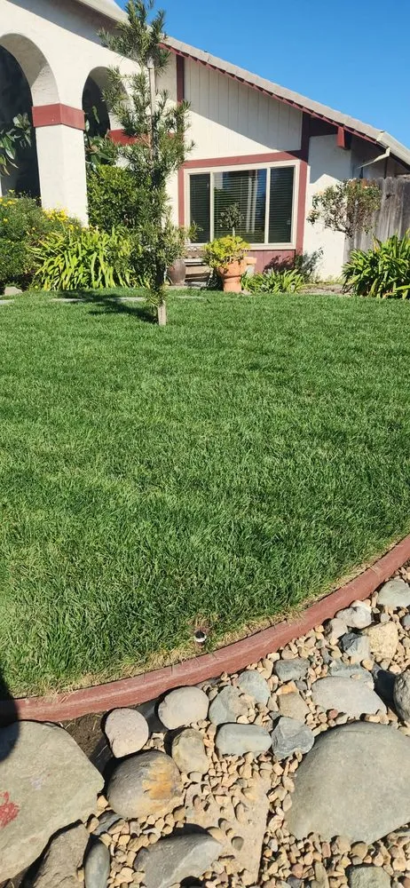 Local landscape installation for outdoor upgrades in Granite Bay, CA by BL Landscape Creations