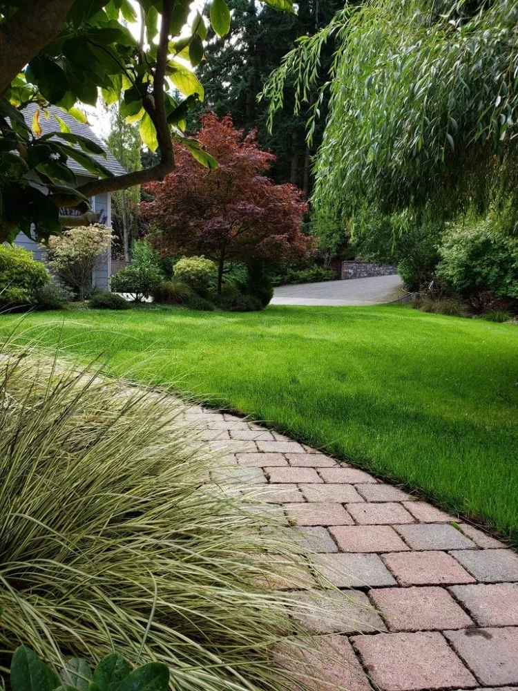 Top-rated landscape design for residential properties across Oak Harbor, WA - Bl Landscapes